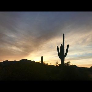 Meet your Posher, Arlene